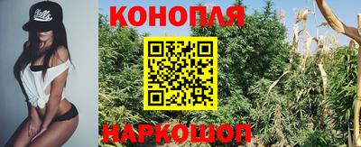ALPHA PVP Камышлов