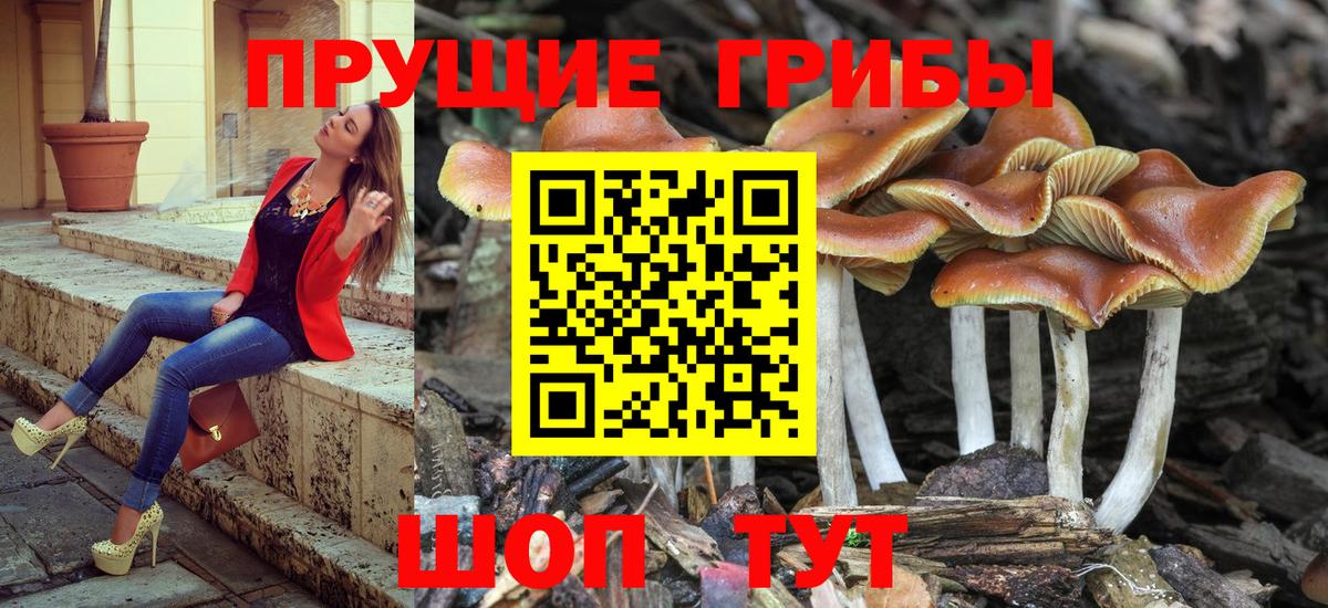 Псилоцибиновые грибы ЛСД  Галлюциногенные грибы GOLDEN TEACHER  купить  сайты  Вход с VPN  Кулебаки 